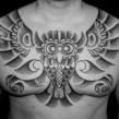 "haida owl tattoo" "dotwork tattoo"
