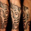 "haida wolf tattoo"