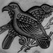 "hugin and munin tattoo" "nordic tattoo"